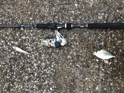 ちょい投げキス釣り