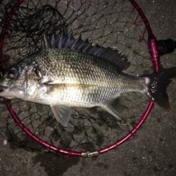 夜明け前から日没後まで