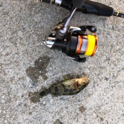 サイズが‥‥‥。