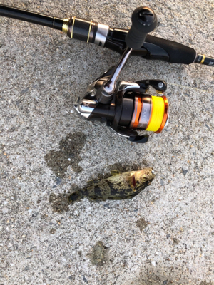 サイズが‥‥‥。