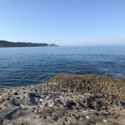 ショアプラッキング