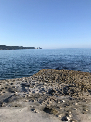 ショアプラッキング