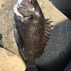 スケスケな状態かなり渋い！