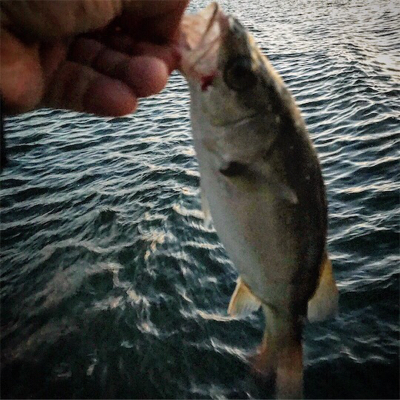 毎週徹夜じゃ身が持ちません（笑）