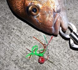 ショアタイラバ