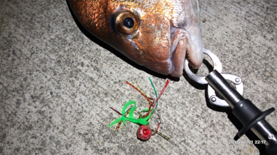 ショアタイラバ