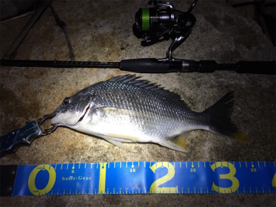 淀川ブリームゲーム バチ抜け つ抜け達成