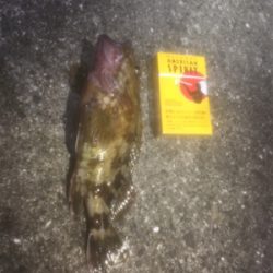 フィーバータイムになったが…