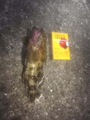 フィーバータイムになったが…