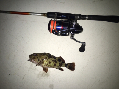 和歌山五目ゲーム