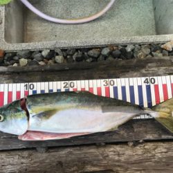 今シーズン初！