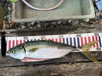 今シーズン初！