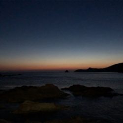 ロックフィッシュ