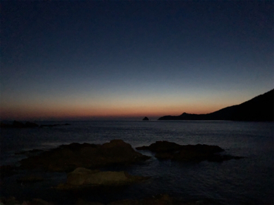 ロックフィッシュ