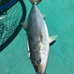 タイラバ スロジギ