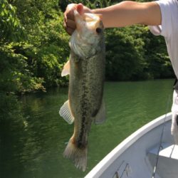 梅雨入り前の晴天釣行