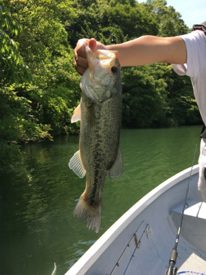 梅雨入り前の晴天釣行