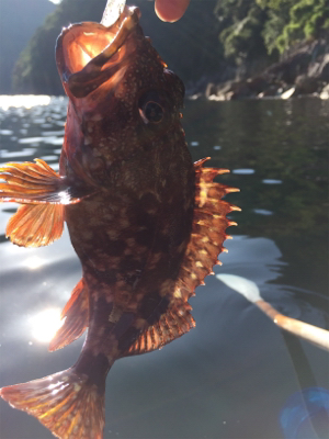 手漕ぎボートでモンハタ・ガシラ