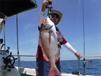 冠島でタイラバ釣行