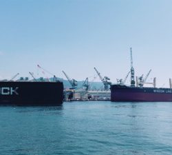 青物釣れないのでシーバス