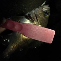 シャクアジバンバン