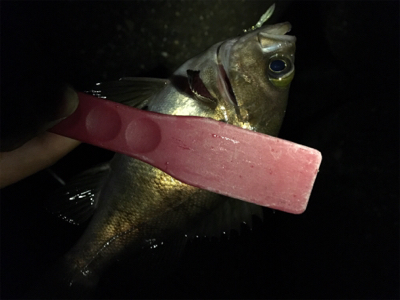 シャクアジバンバン