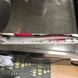 げき渋の中意外な訪問客。。