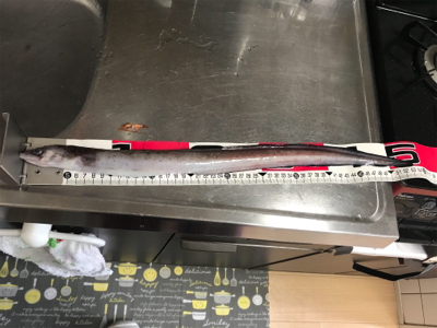 げき渋の中意外な訪問客。。