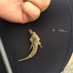 キスいた！！！！