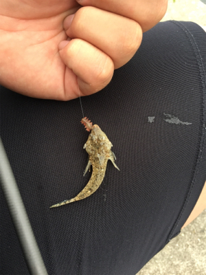 キスいた！！！！