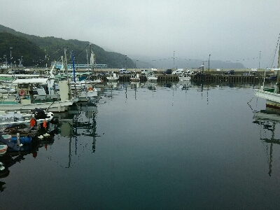 アジ、メバル、サバ、イワシ