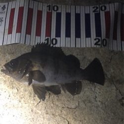 ライトゲーム！