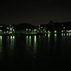 豆アジ 夜サビキ