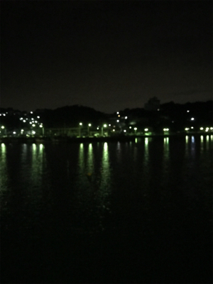 豆アジ 夜サビキ