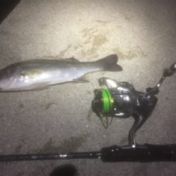 サイトバッチング