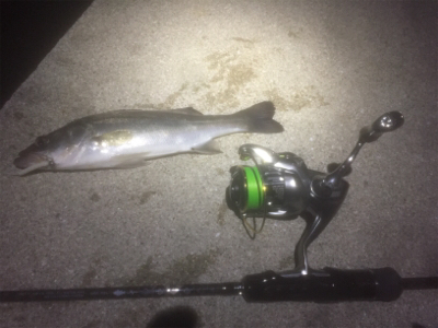 サイトバッチング