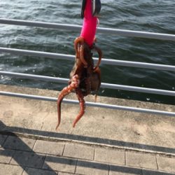 運良くキロアップ