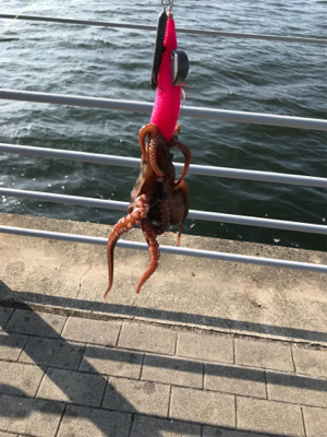 運良くキロアップ