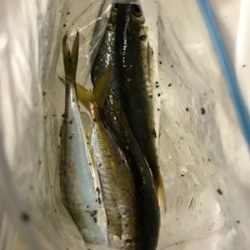 NO.9 夕、夜の部