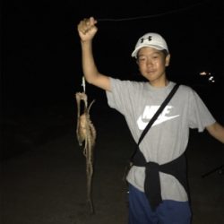 ルアーでマダコが釣れた！