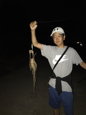 ルアーでマダコが釣れた！