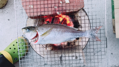 今年1回目イサキ！！