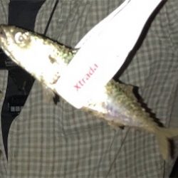 爆風にお手上げ