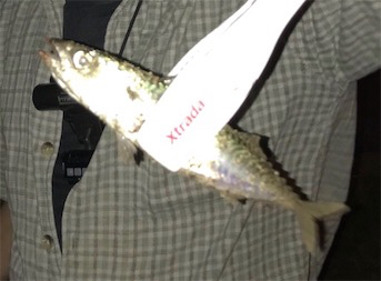 爆風にお手上げ