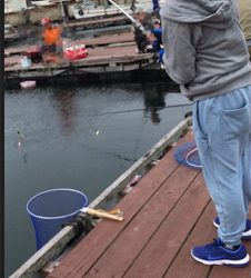 じゃのひれフィッシングパーク