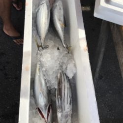 沖縄 パヤオ ジギング