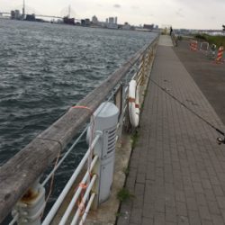 オクトパッシング