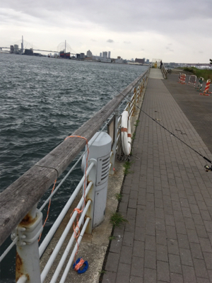 オクトパッシング