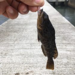 チビガシラ祭り