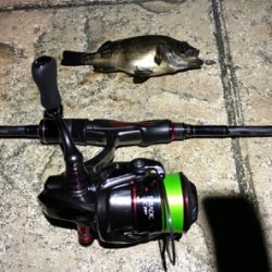 タチウオ釣れず…